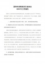 2020年度工作报告