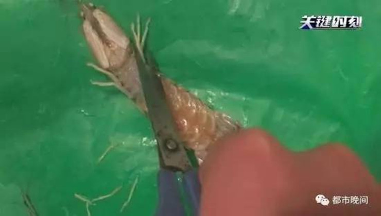 1-1F51Q42227.jpg 1-1F51Q42227.jpg