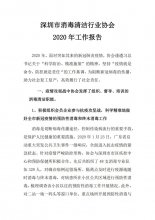 深圳市消毒清洁行业协会2020年工作报告