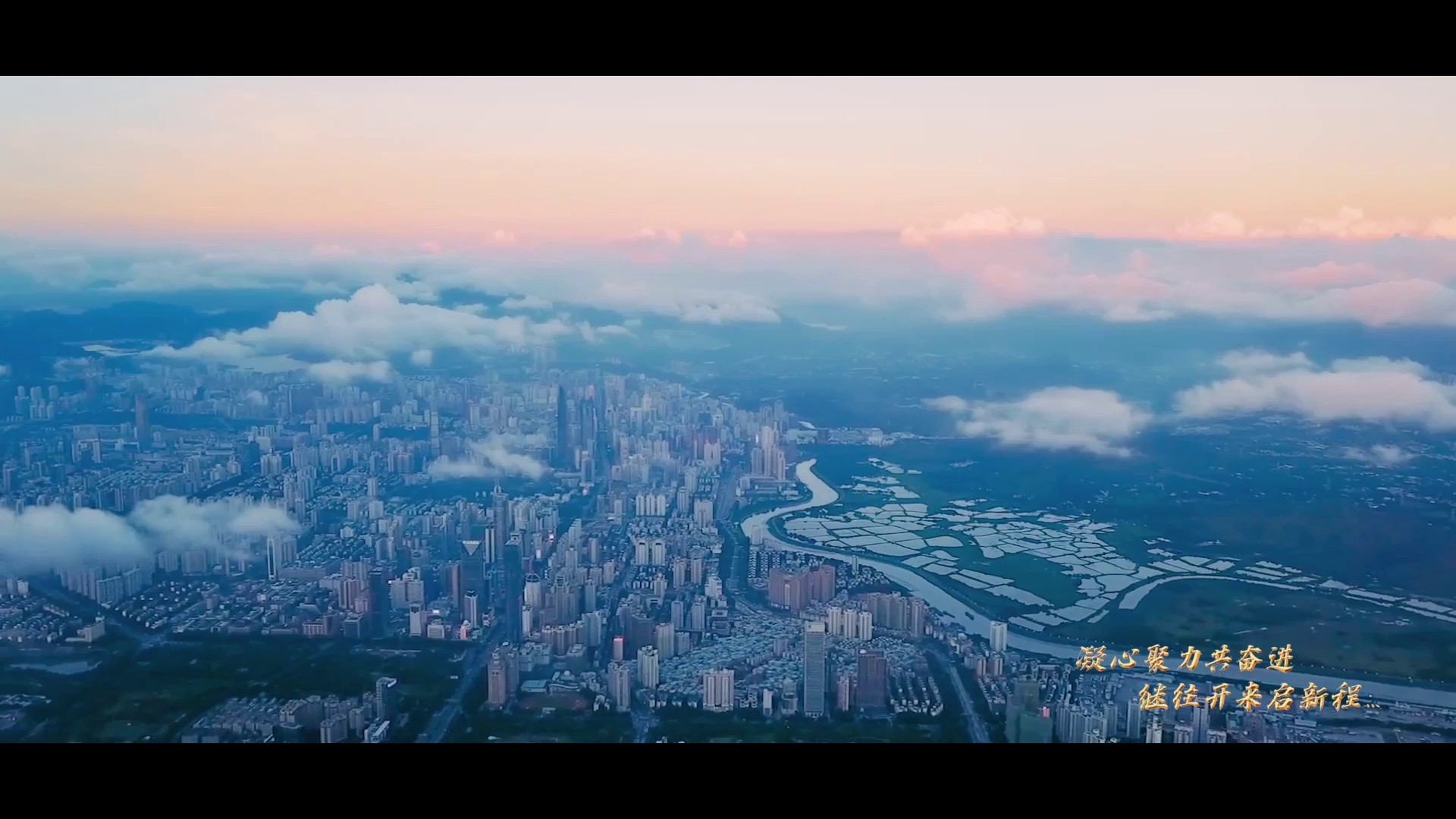 深圳市消毒清洁与有害生物防制行业协会第三届会员大会第一次会议